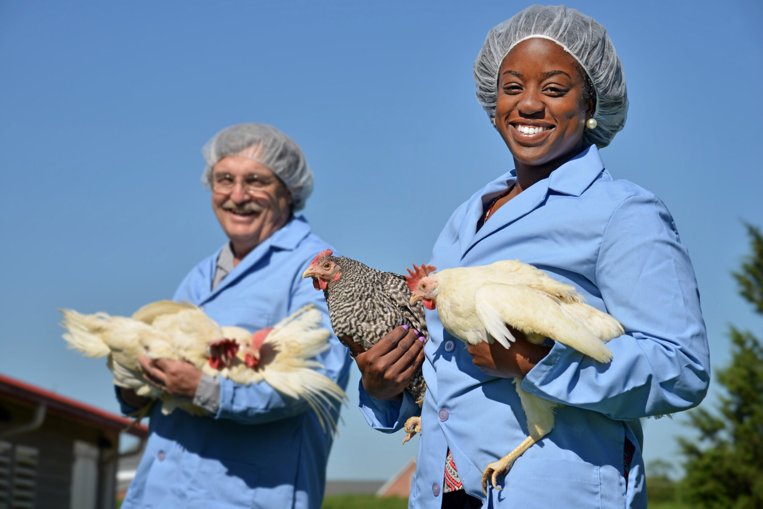 student and faculty holding chickens