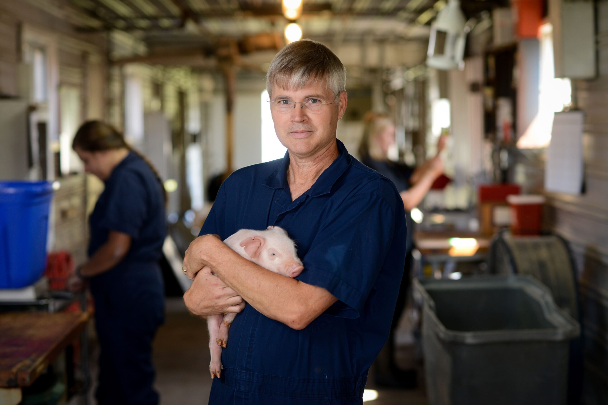 researcher holding a piglet