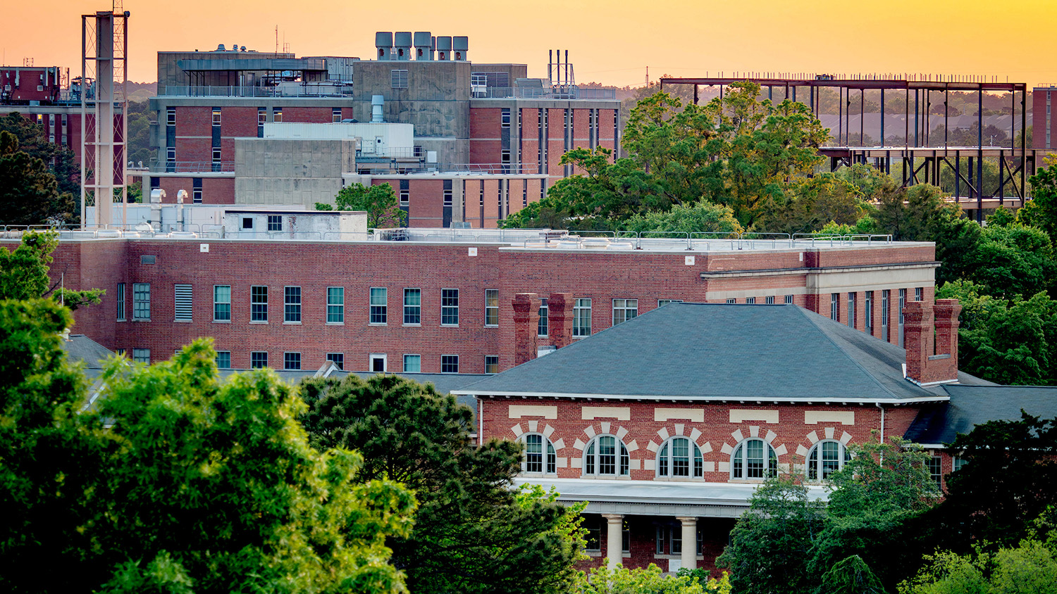 The 1911 Building anchors the Court of North Carolina, with a warm sunset across campus spreading out in the background. The Integrated Sciences Building starts to take shape as its construction continues. (Top right.) Photo by Becky Kirkland.