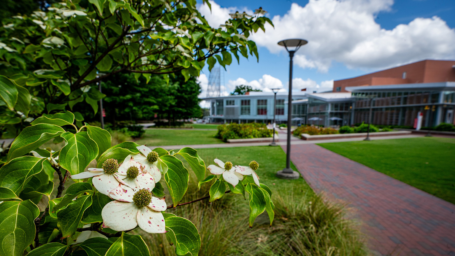 The Talley Student Union and Stafford Commons