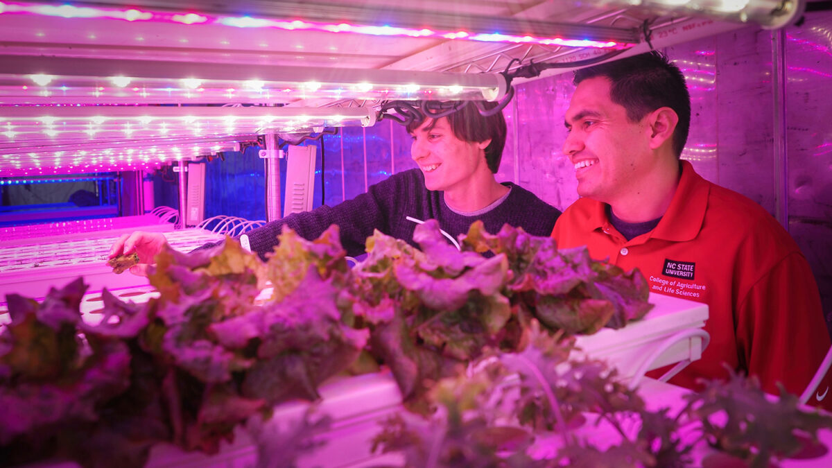 Plant researchers in a lab.