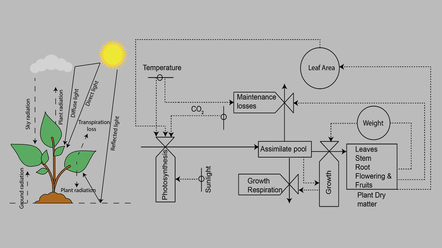 Research Systems | Controlled Environment Ag – Coalition