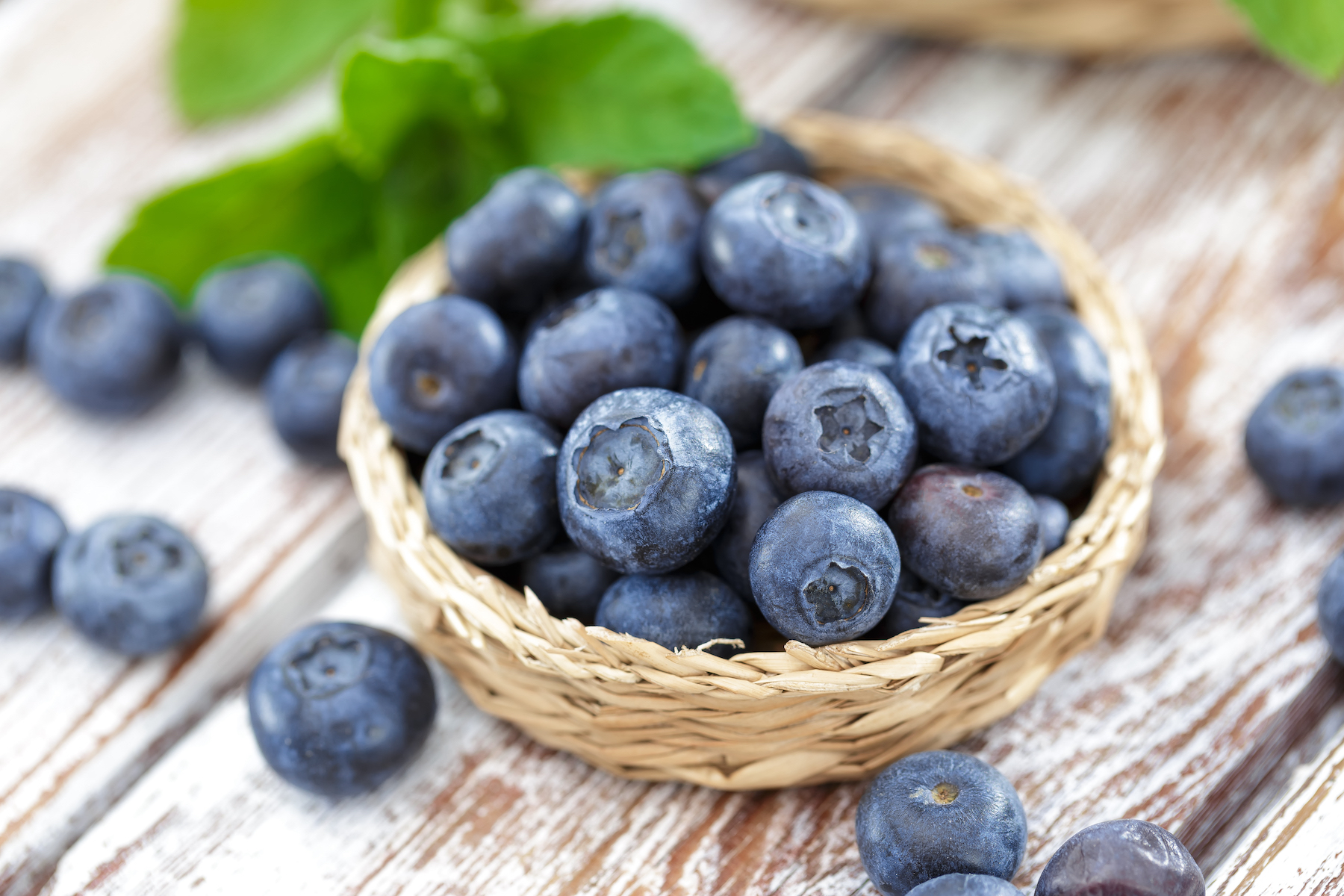 Blueberries HACCP