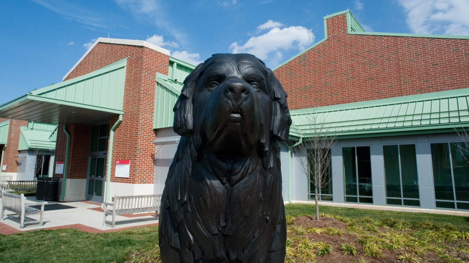 Header for News post - photo of dog statue outside NC State's Vet school building