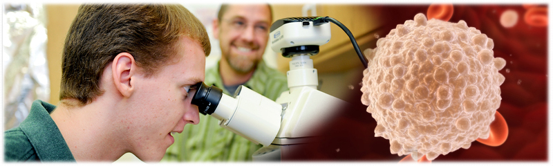 top microbiology phd programs