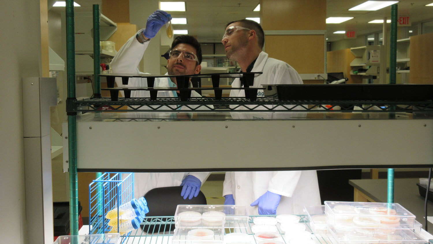 MMB Student working in a lab during their summer internship